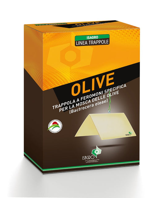 Trappola a feromoni specifica per il monitoraggio della Mosca dell’olivo