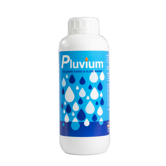 Concime a base di alghe marine - Pluvium